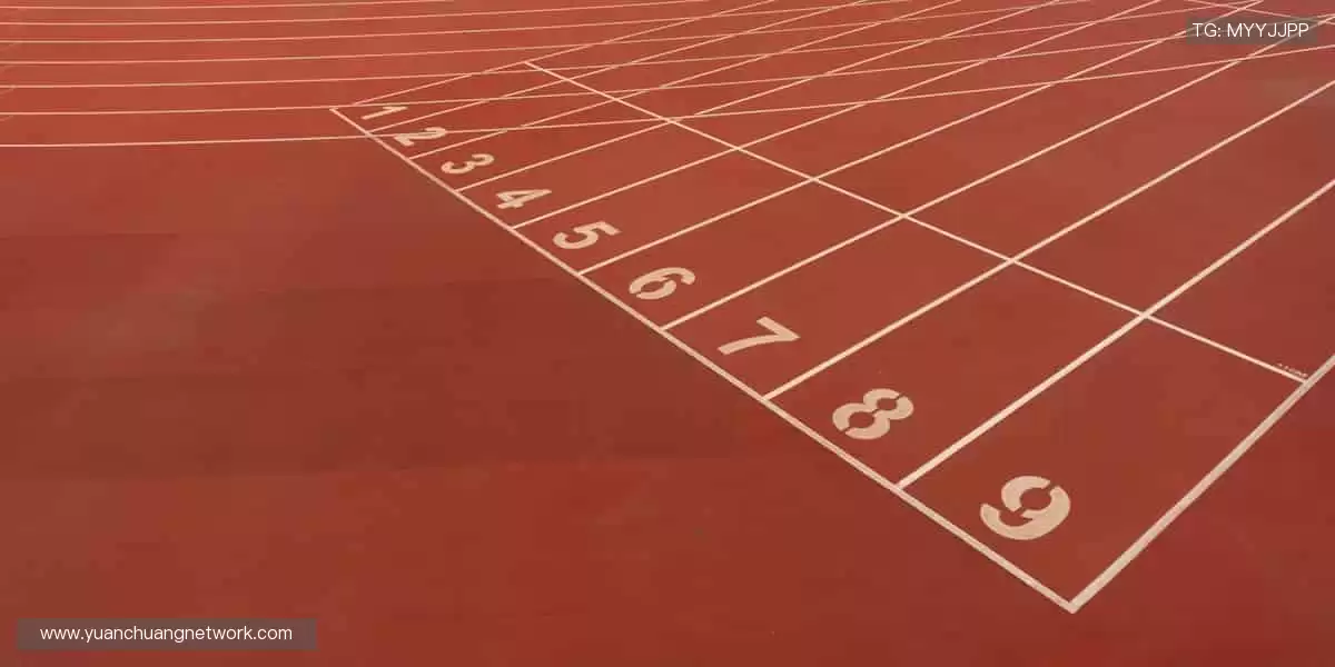 从球鞋到纪念衫，每一件都是热爱的勋章！👟